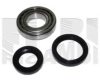 AUTOTEAM RA1340 Wheel Bearing Kit